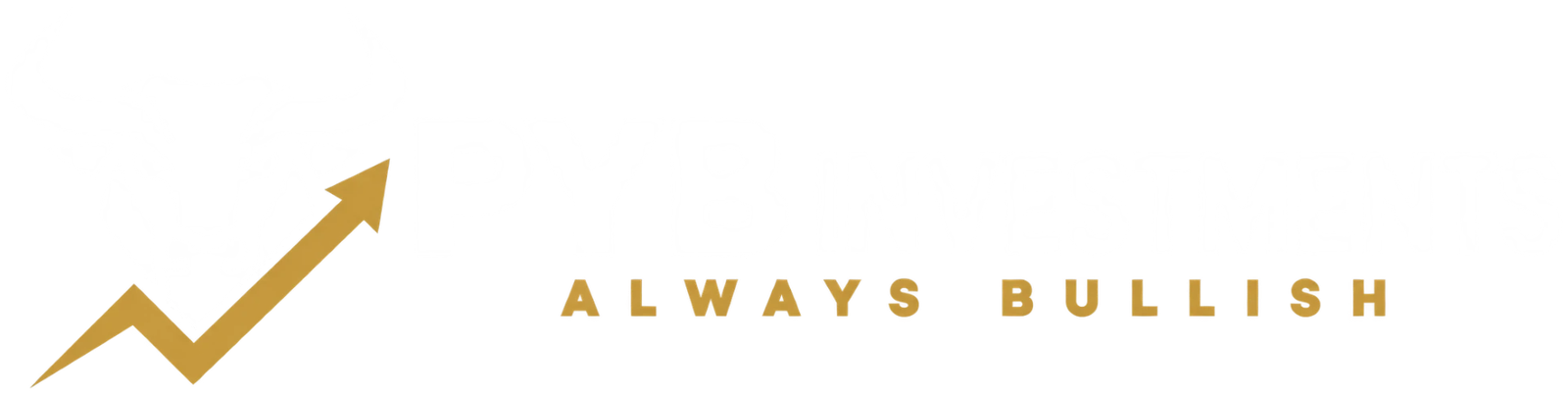 PYB Investments